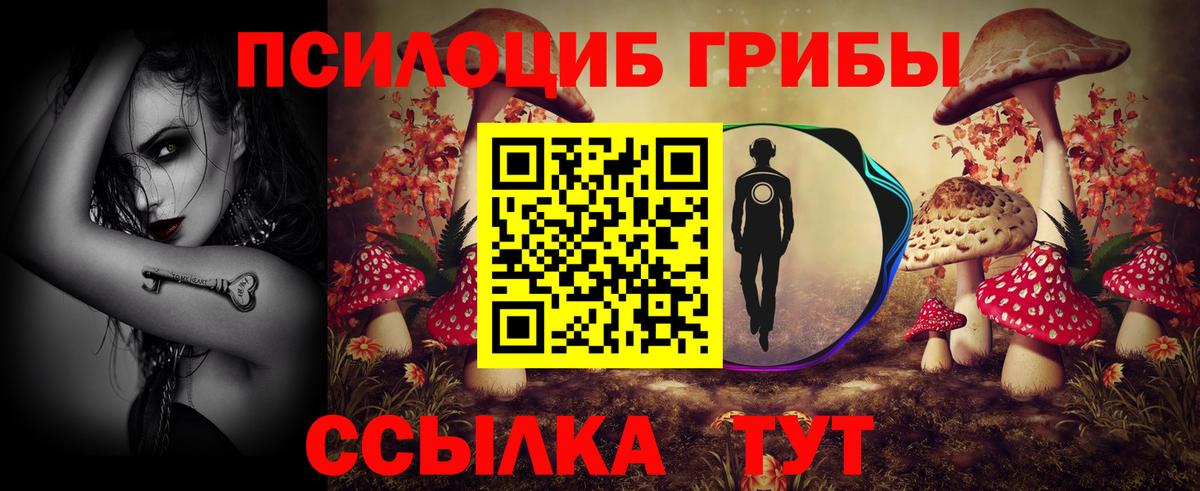 Казань  хочу   Вход с VPN  Псилоцибиновые грибы прущие грибы 